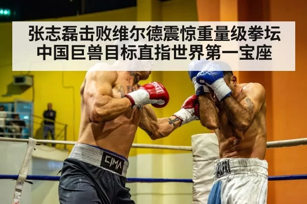 张志磊击败维尔德震惊重量级拳坛 中国巨兽目标直指世界第一宝座